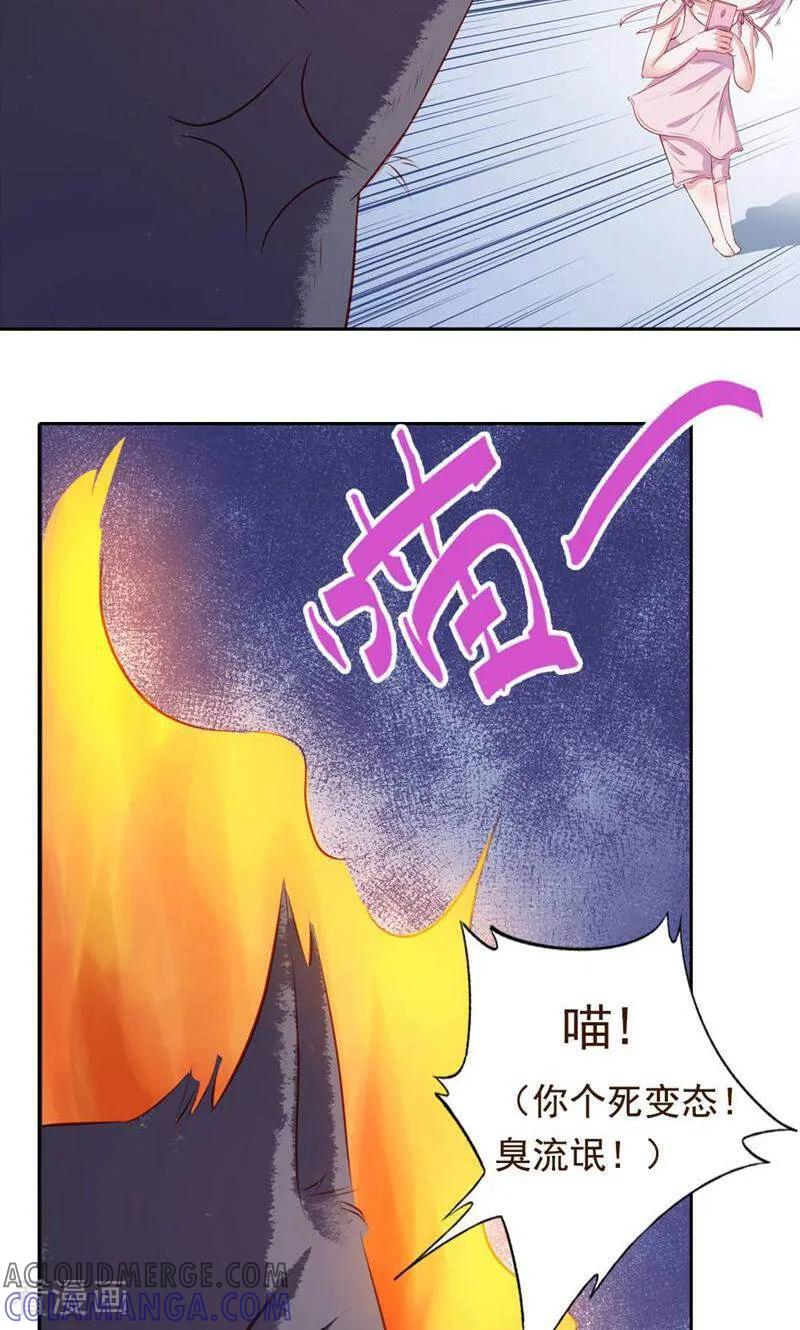 第40话-以猫的名义爱上你-咪咕数媒（第3张）