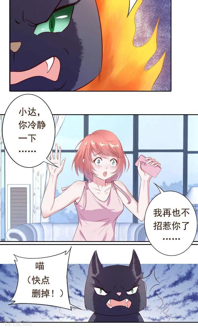 第40话-以猫的名义爱上你-咪咕数媒（第4张）