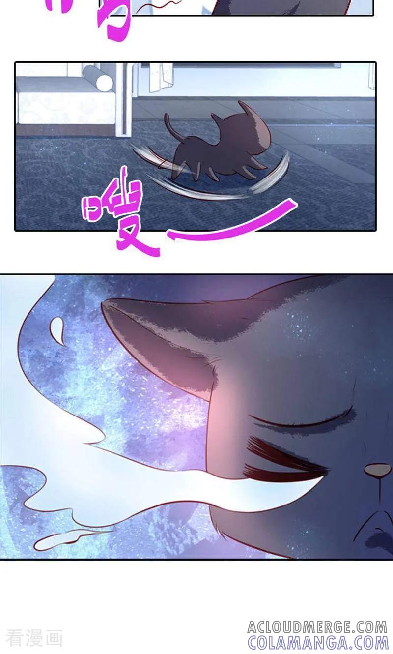 第40话-以猫的名义爱上你-咪咕数媒（第9张）