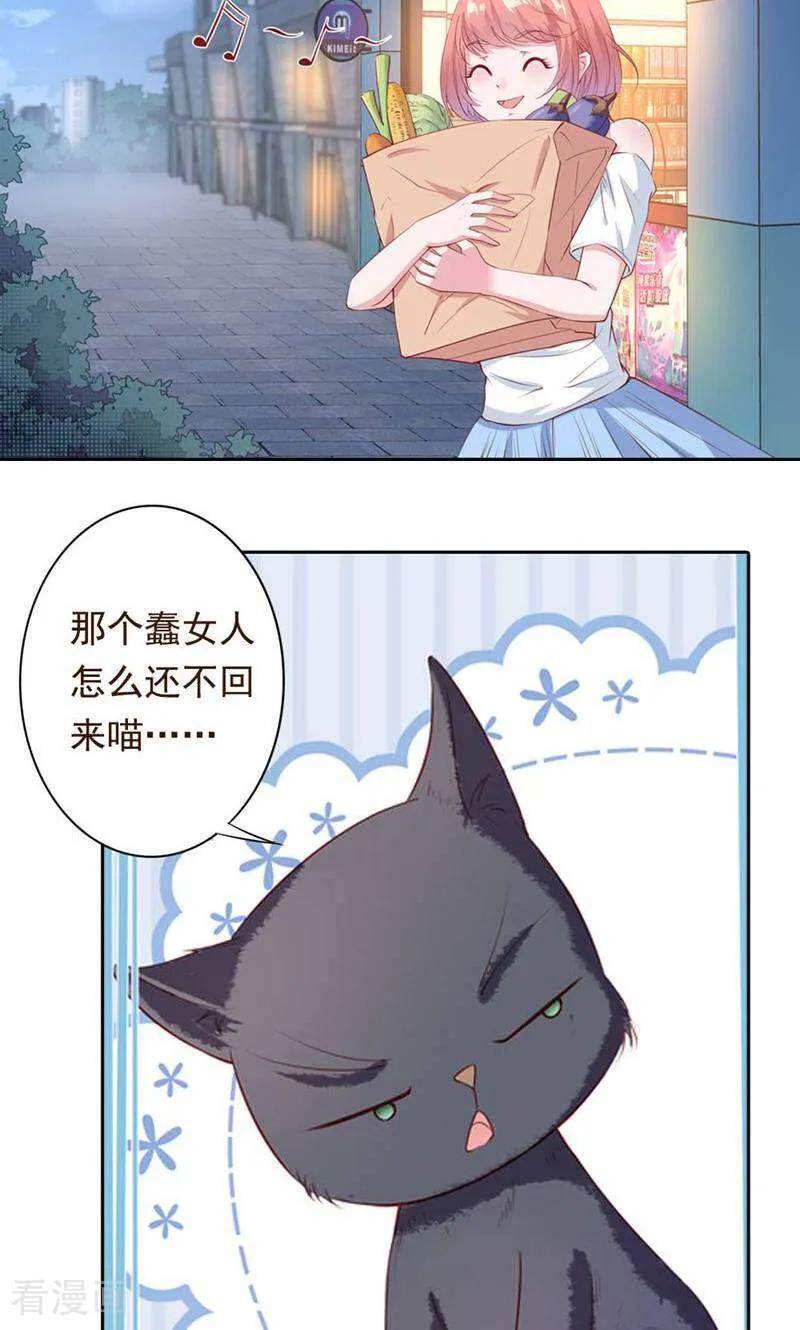 第41话-以猫的名义爱上你-咪咕数媒（第2张）