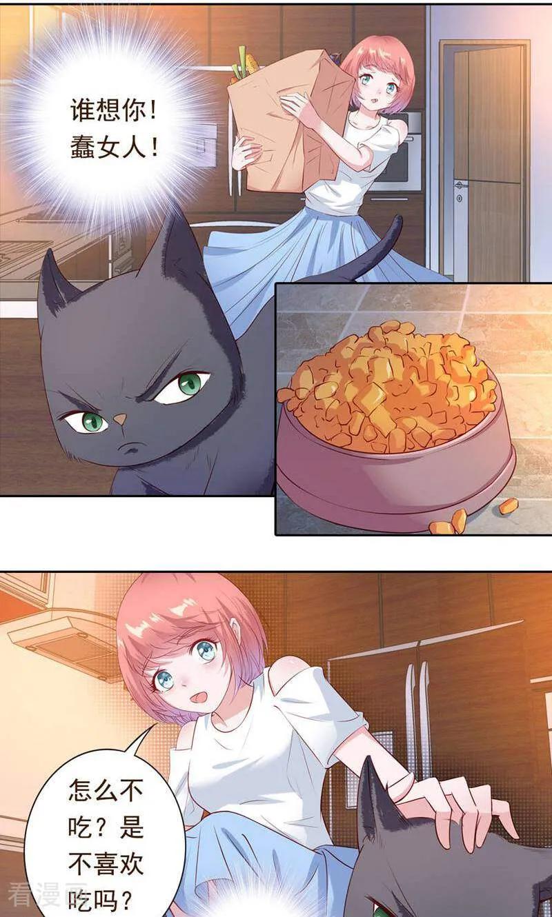 第41话-以猫的名义爱上你-咪咕数媒（第4张）