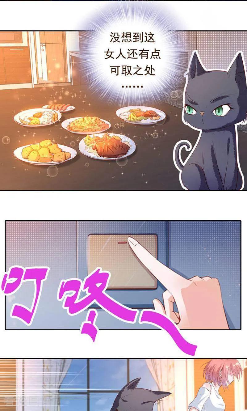 第41话-以猫的名义爱上你-咪咕数媒（第8张）