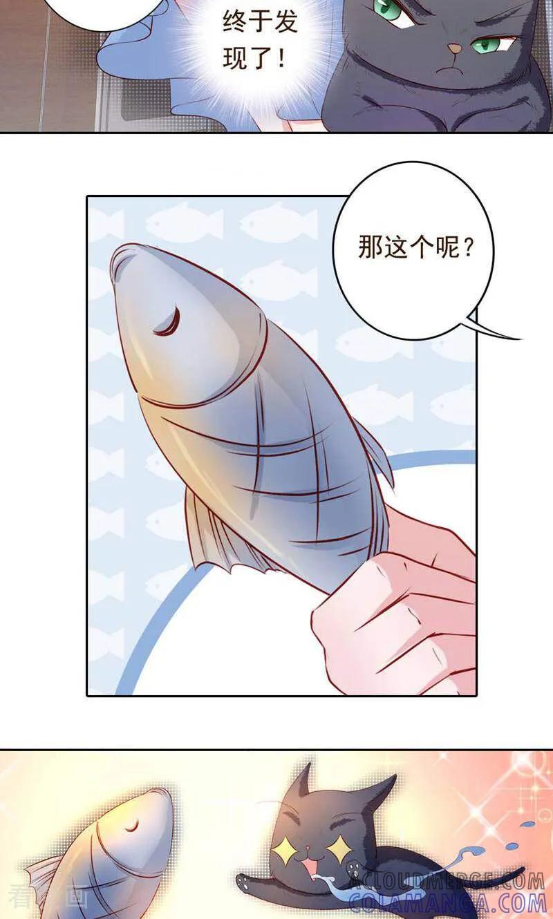 第41话-以猫的名义爱上你-咪咕数媒（第5张）