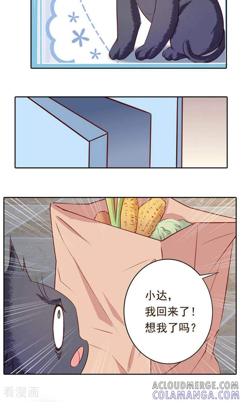 第41话-以猫的名义爱上你-咪咕数媒（第3张）
