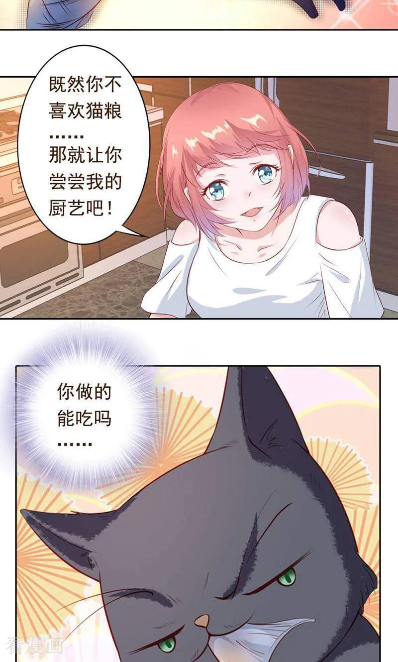 第41话-以猫的名义爱上你-咪咕数媒（第6张）