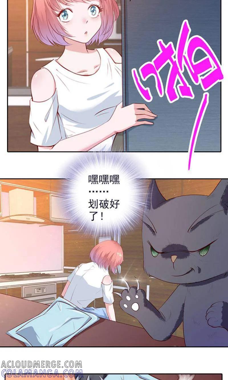 第42话-以猫的名义爱上你-咪咕数媒（第9张）