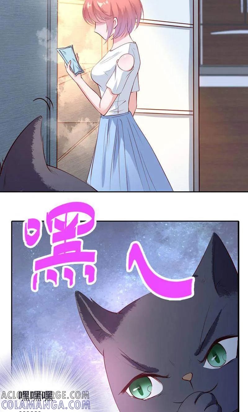 第42话-以猫的名义爱上你-咪咕数媒（第7张）