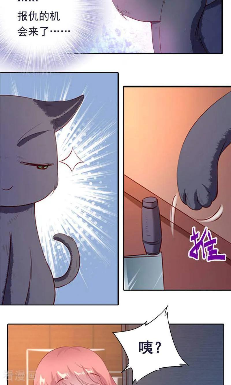 第42话-以猫的名义爱上你-咪咕数媒（第8张）
