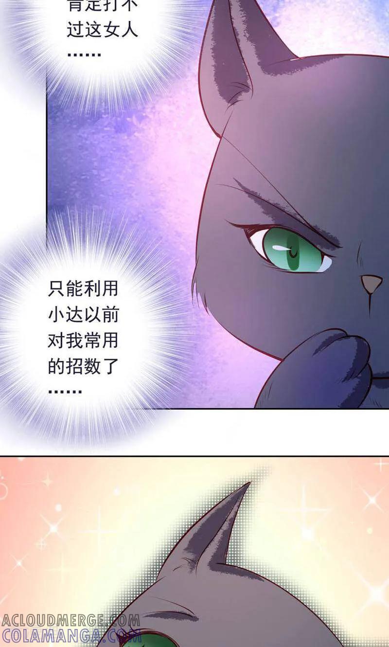 第43话-以猫的名义爱上你-咪咕数媒（第9张）