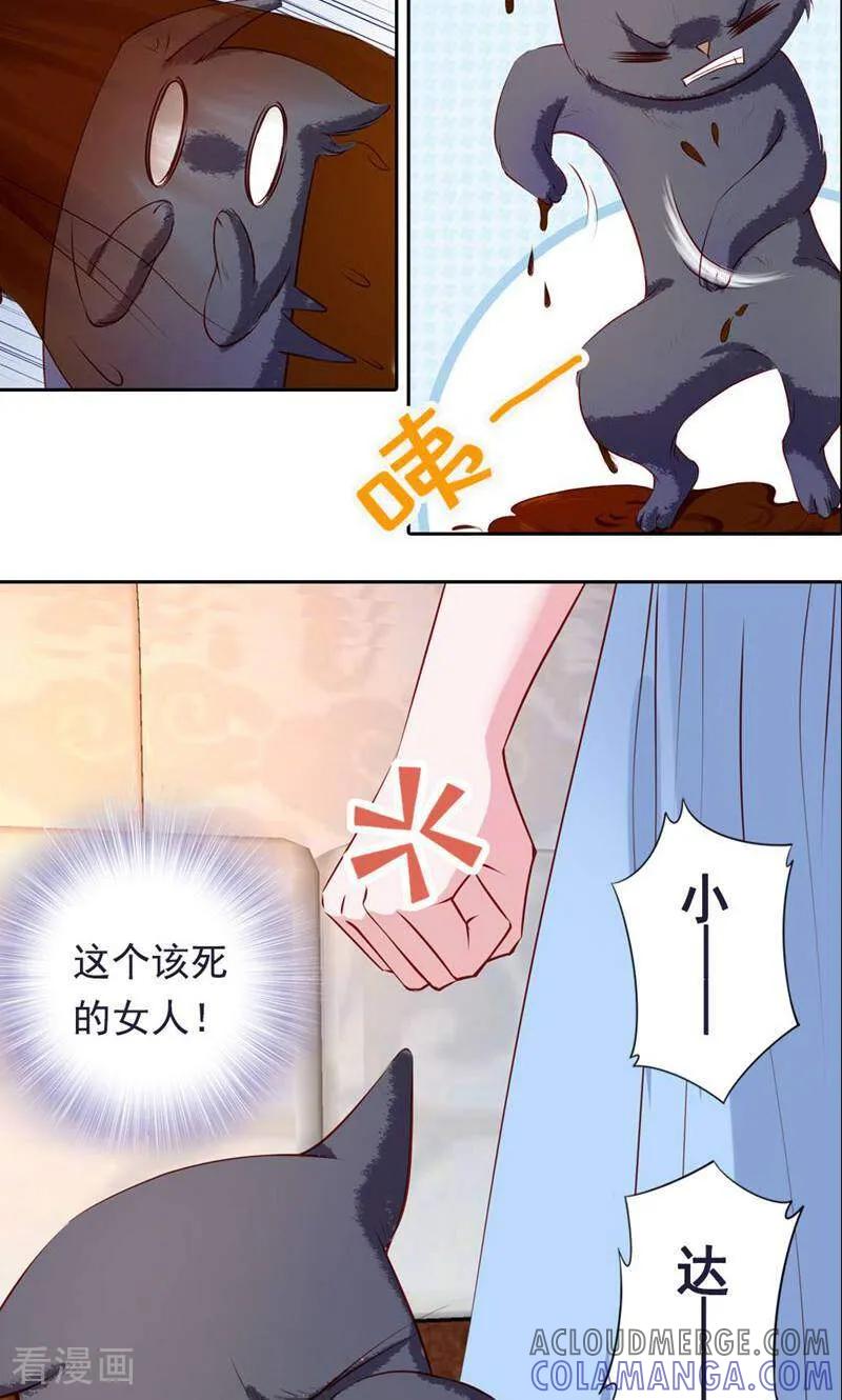第43话-以猫的名义爱上你-咪咕数媒（第7张）