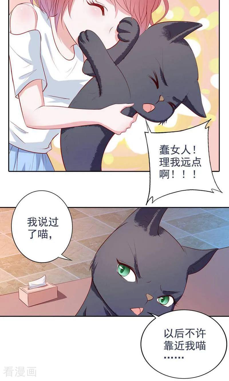 第48话-以猫的名义爱上你-咪咕数媒（第10张）