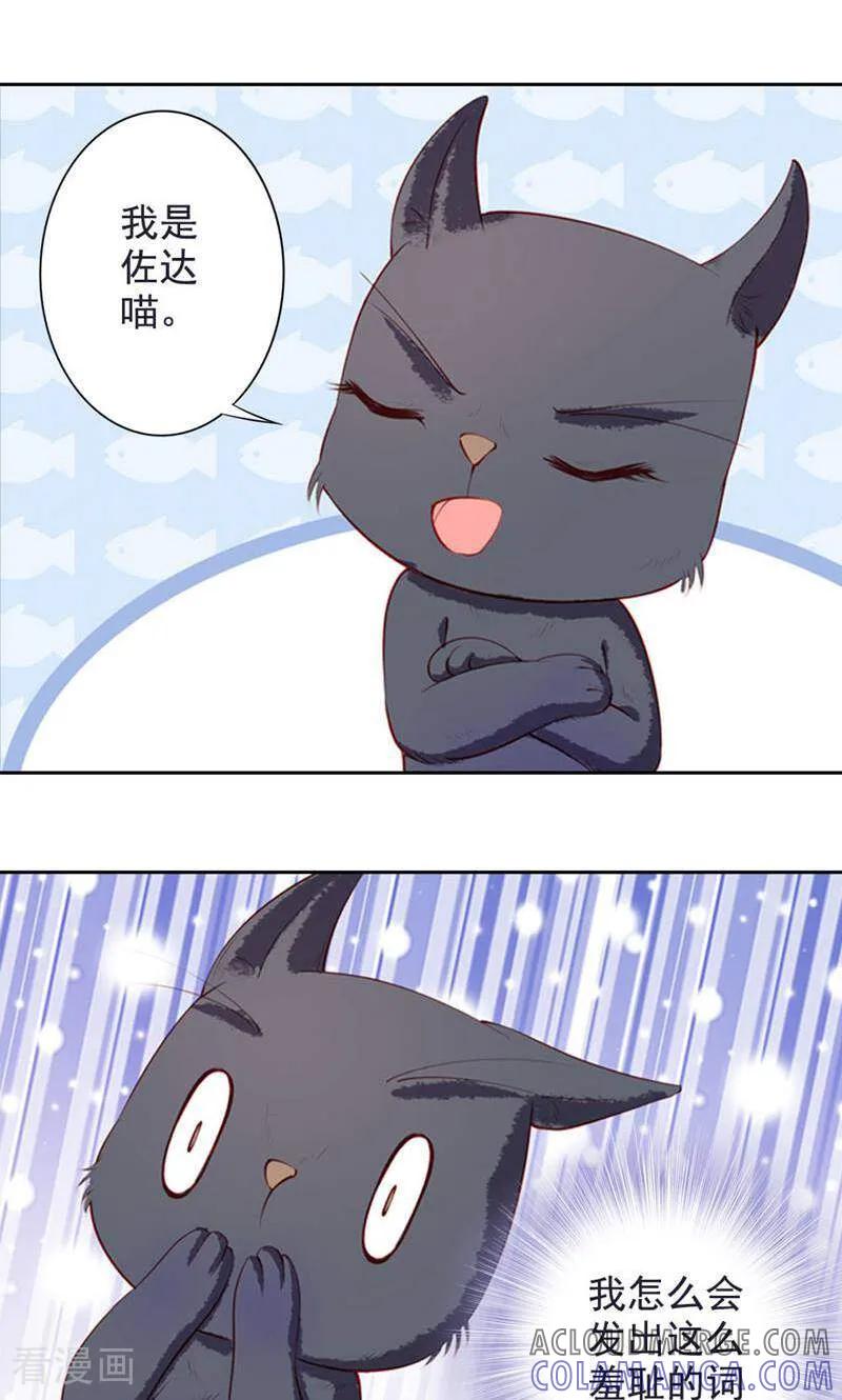 第48话-以猫的名义爱上你-咪咕数媒（第7张）