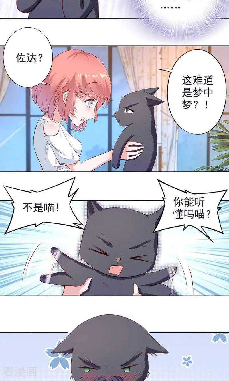 第48话-以猫的名义爱上你-咪咕数媒（第8张）