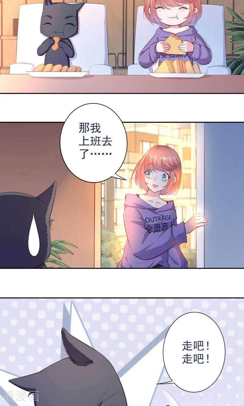 第49话-以猫的名义爱上你-咪咕数媒（第12张）