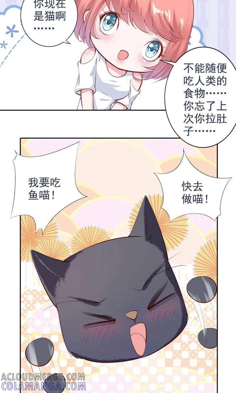 第49话-以猫的名义爱上你-咪咕数媒（第7张）