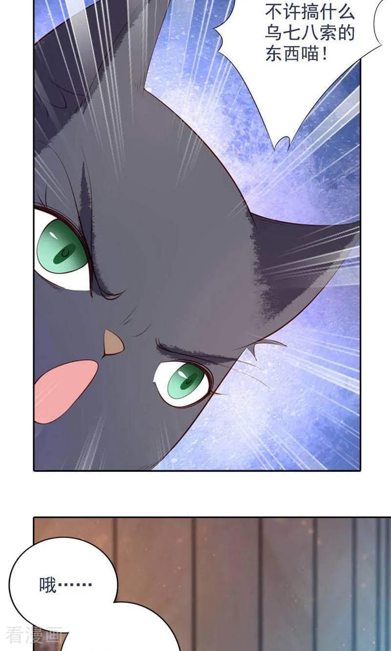 第49话-以猫的名义爱上你-咪咕数媒（第4张）