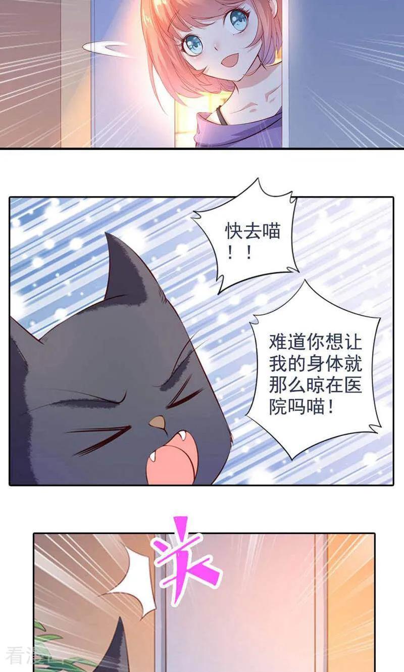 第49话-以猫的名义爱上你-咪咕数媒（第14张）