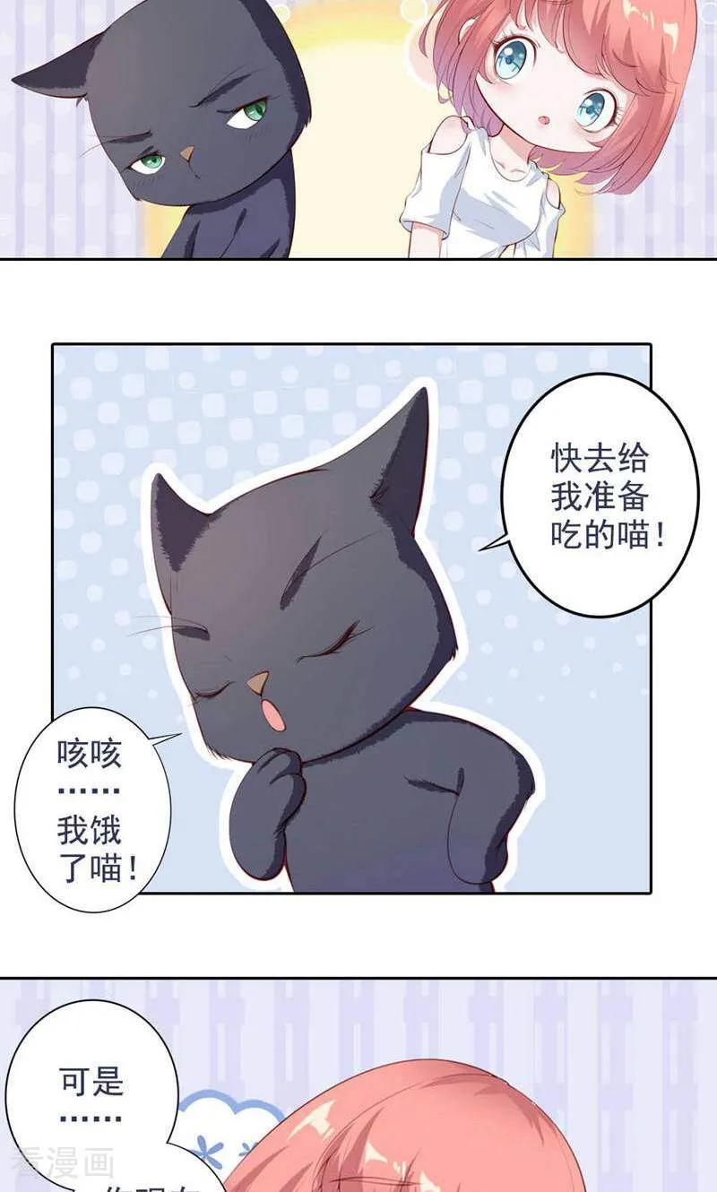 第49话-以猫的名义爱上你-咪咕数媒（第6张）