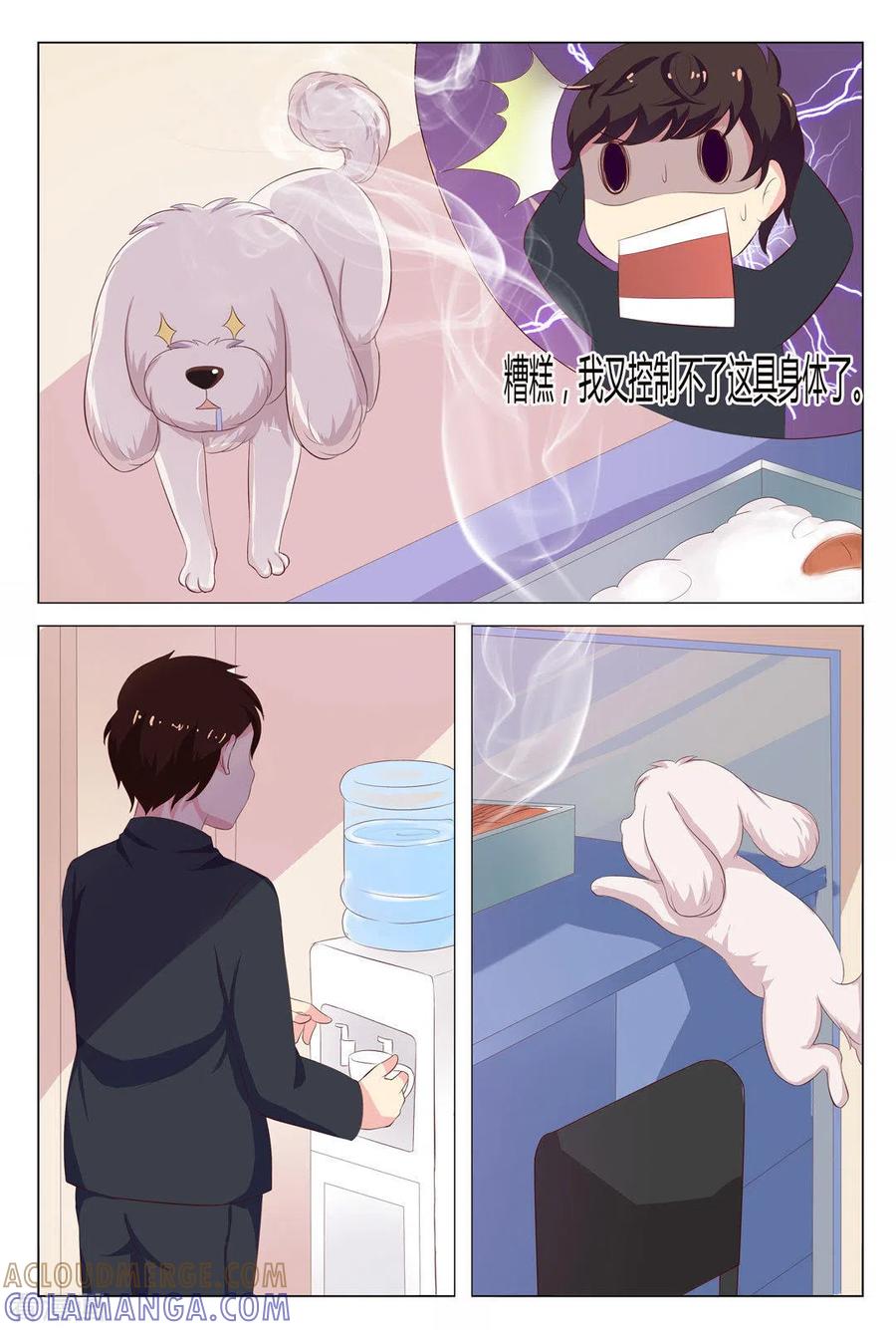 第13话-我的房东是泰迪-咪咕阅读（第7张）