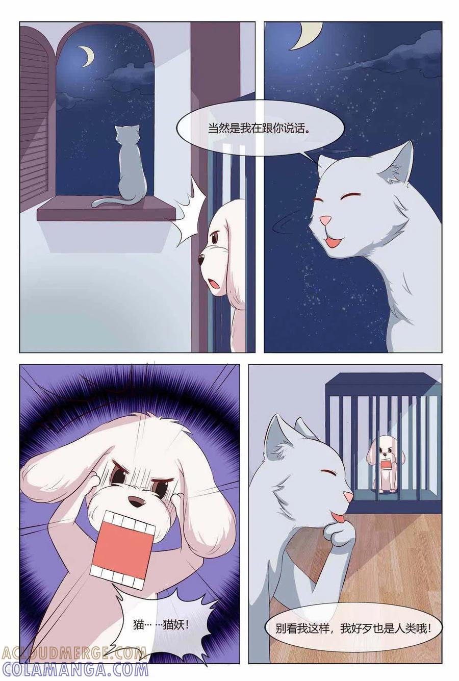 第21话-我的房东是泰迪-咪咕阅读（第5张）