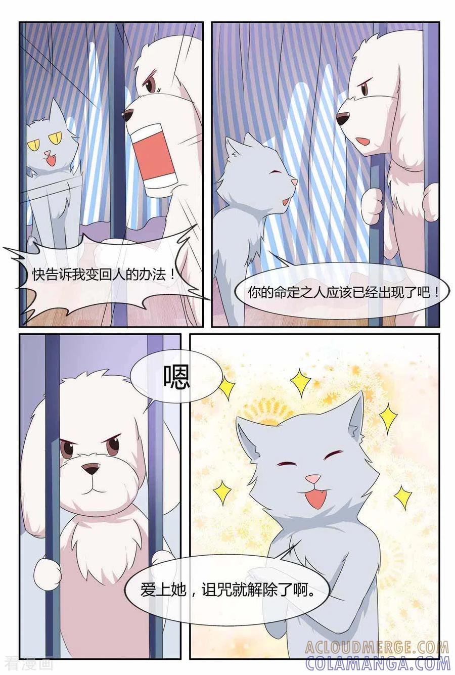第21话-我的房东是泰迪-咪咕阅读（第9张）