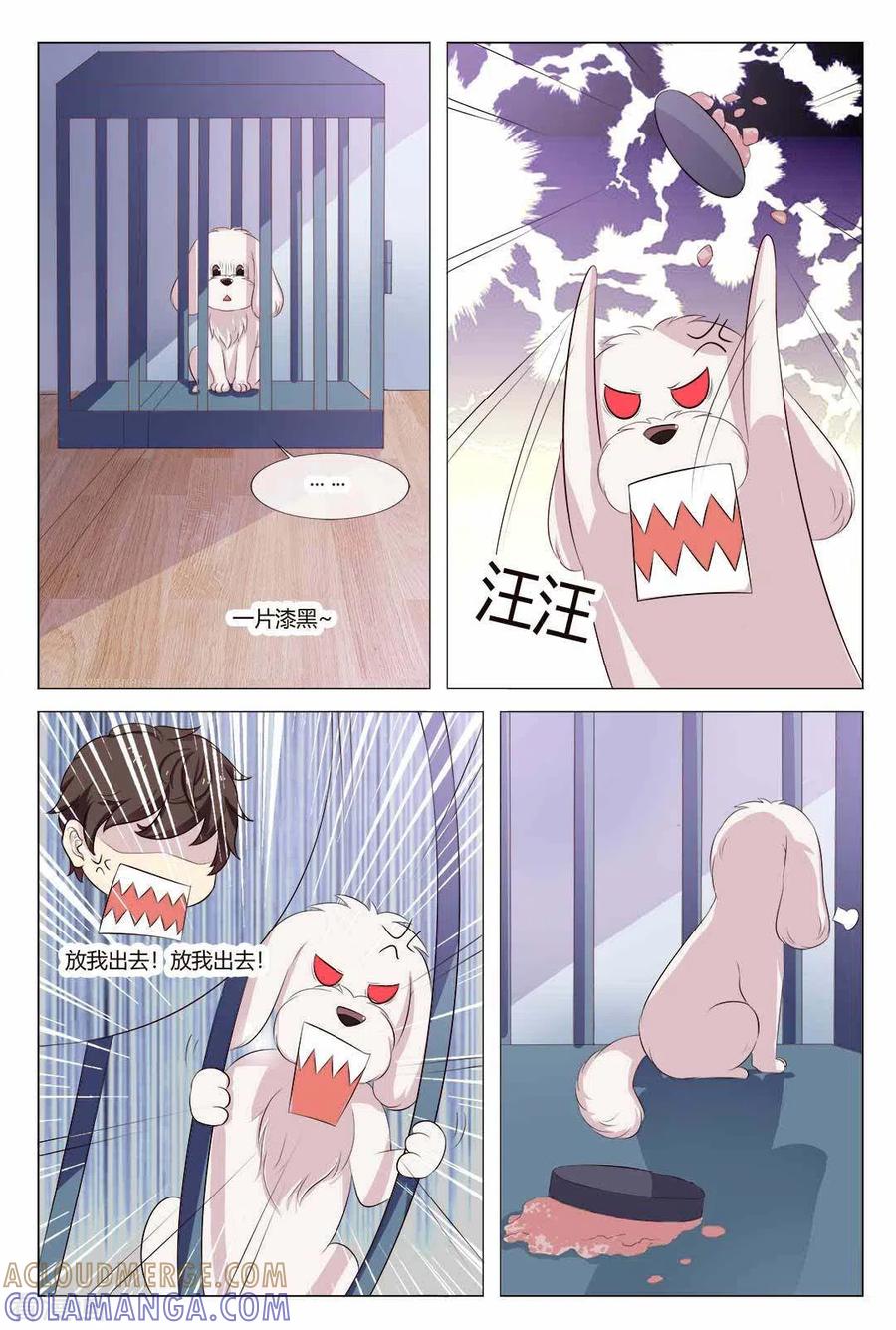 第21话-我的房东是泰迪-咪咕阅读（第3张）