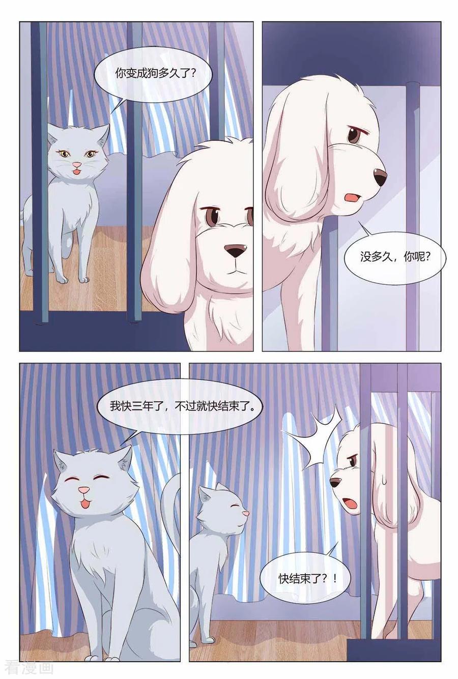 第21话-我的房东是泰迪-咪咕阅读（第8张）