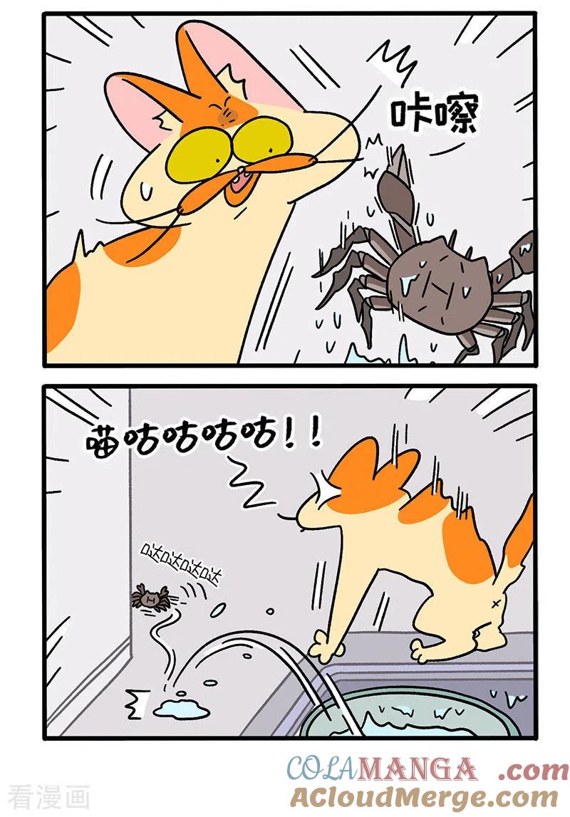 第58话螃蟹大战-阿满和麦茶-新漫画 日胖大海寺（第2张）