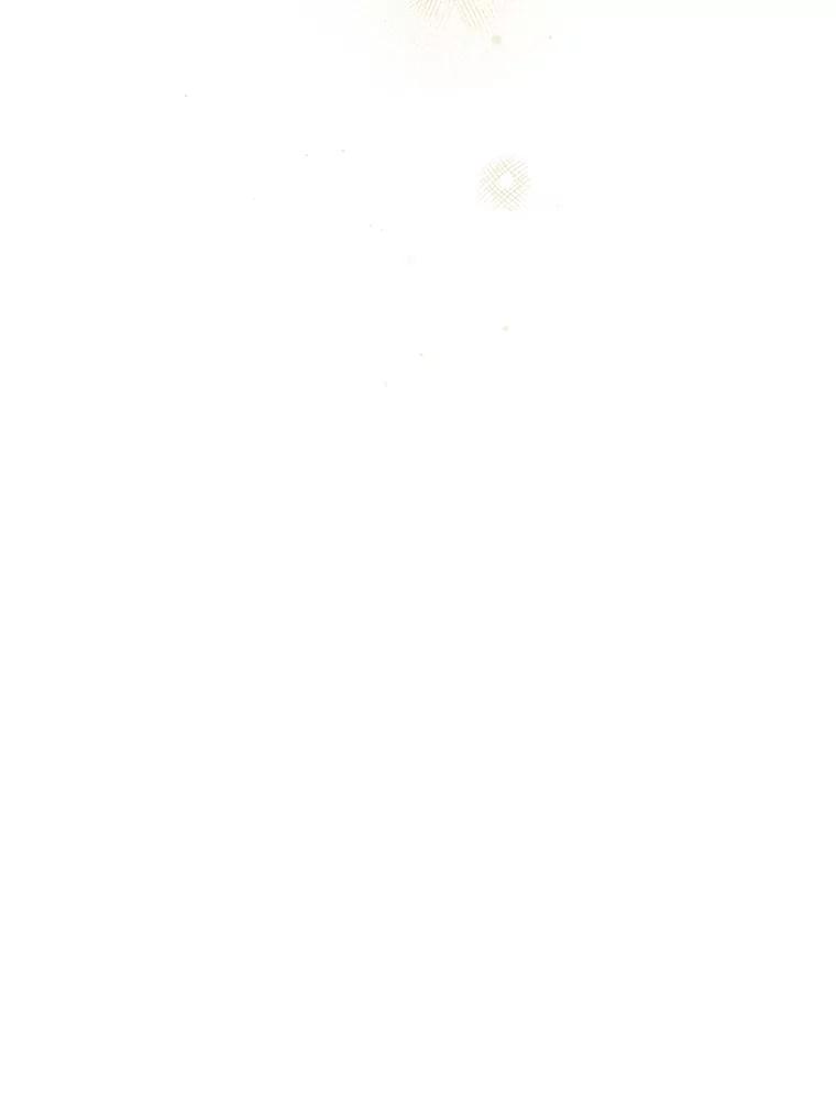 131.jpg