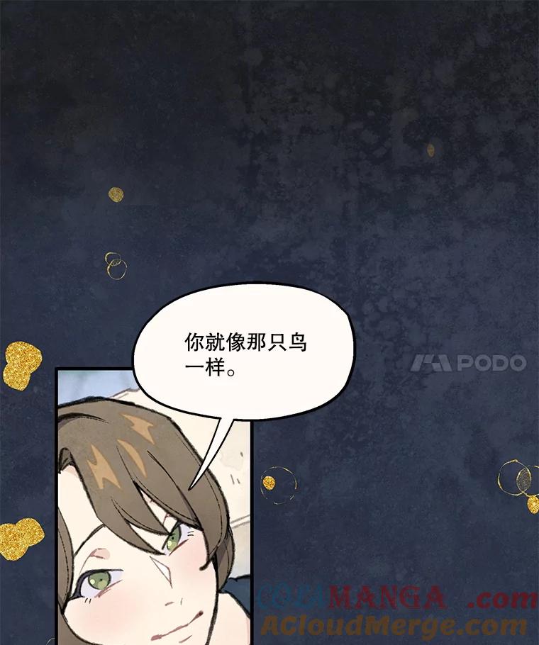 61.jpg
