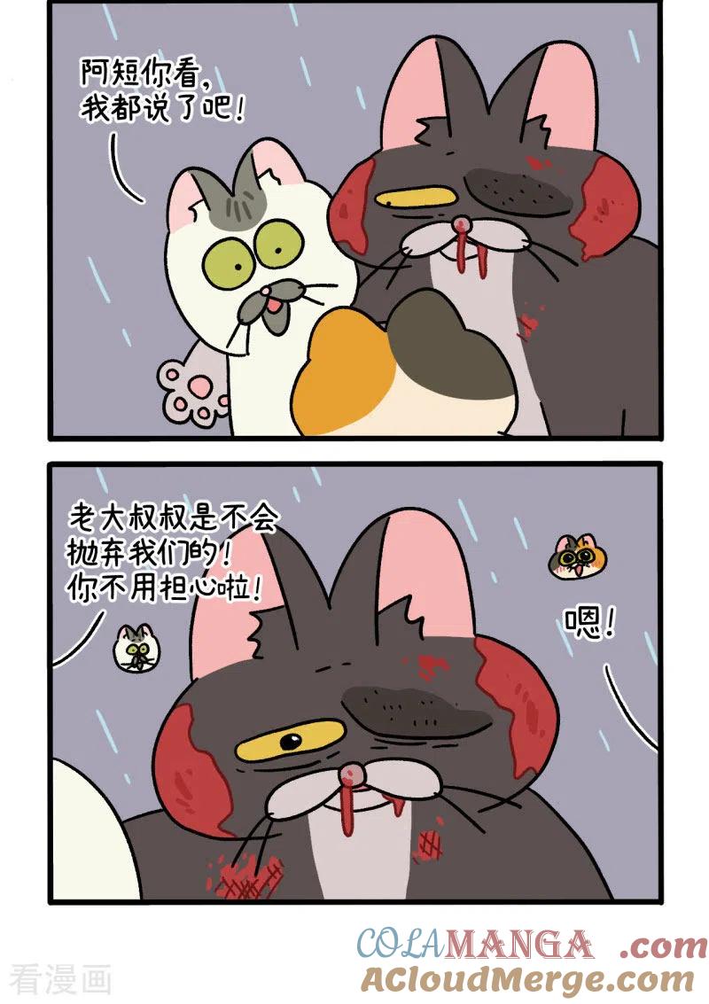 番外9下黑亮亮帮的往事-阿满和麦茶-新漫画 日胖大海寺（第4张）