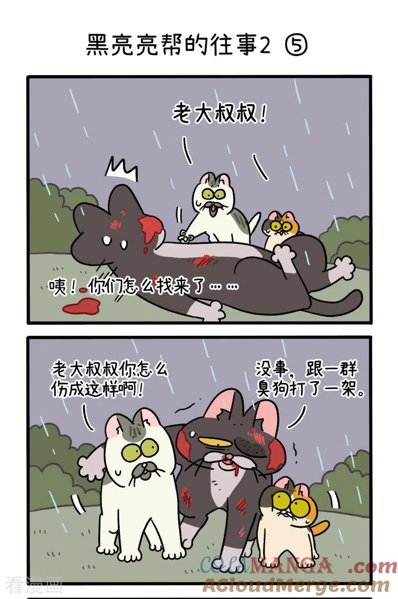 番外9下黑亮亮帮的往事-阿满和麦茶-新漫画 日胖大海寺（第3张）