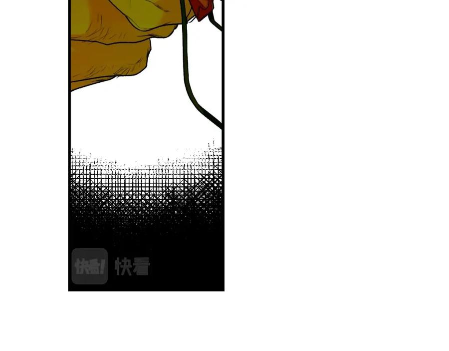 156.jpg
