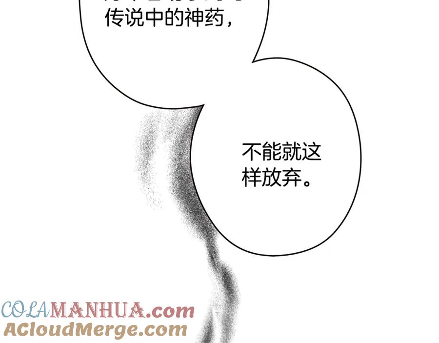 113.jpg