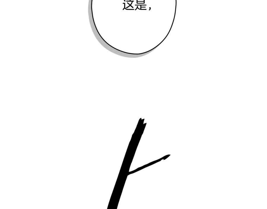 67.jpg