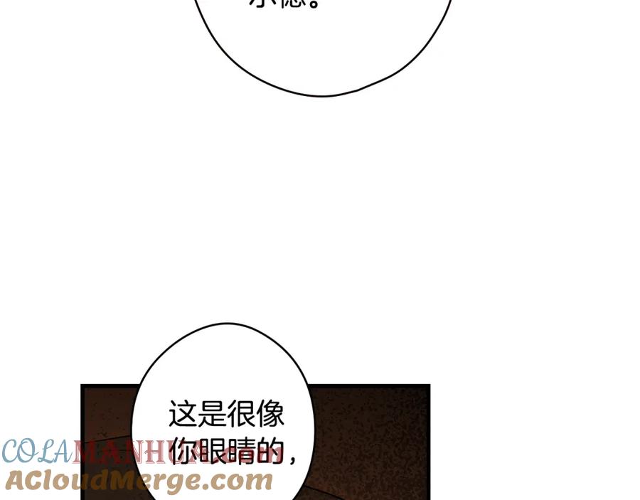113.jpg