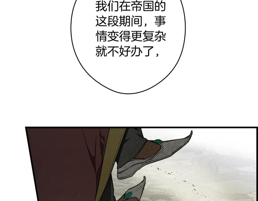 146.jpg