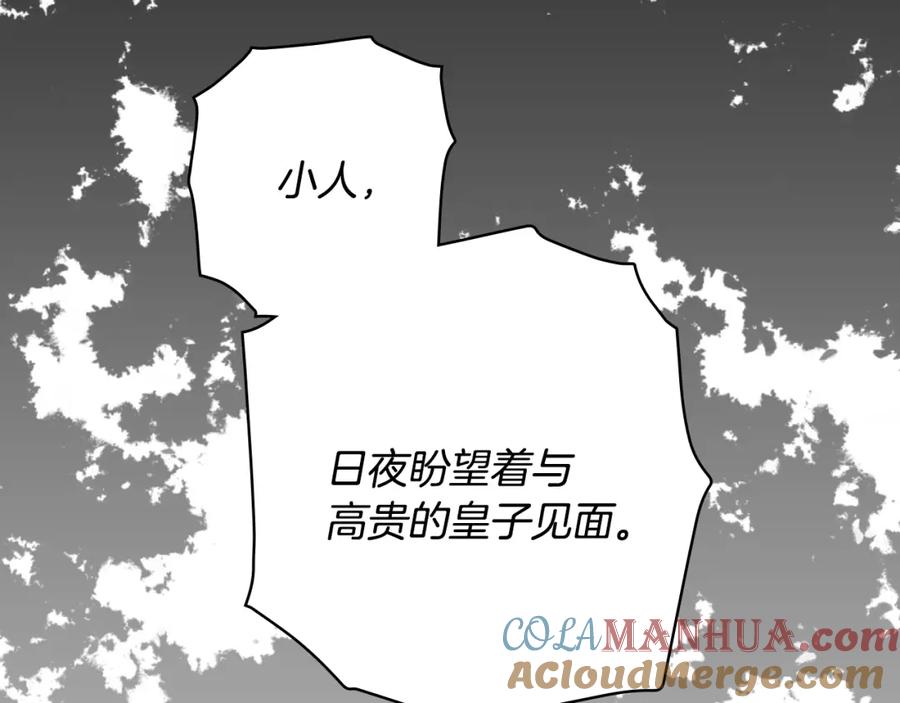205.jpg