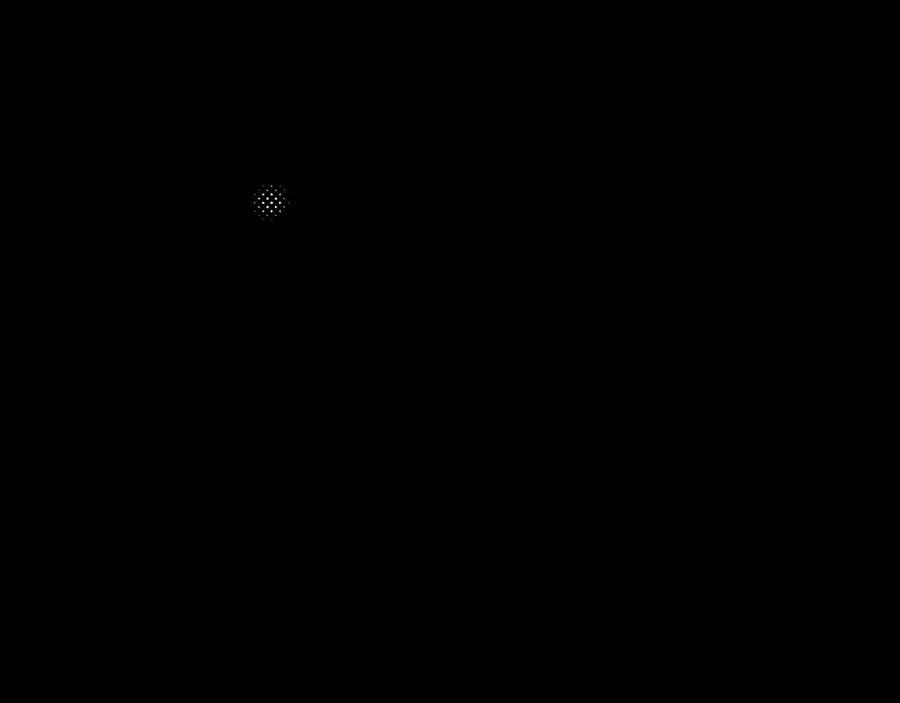 194.jpg