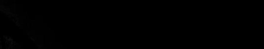 95.jpg