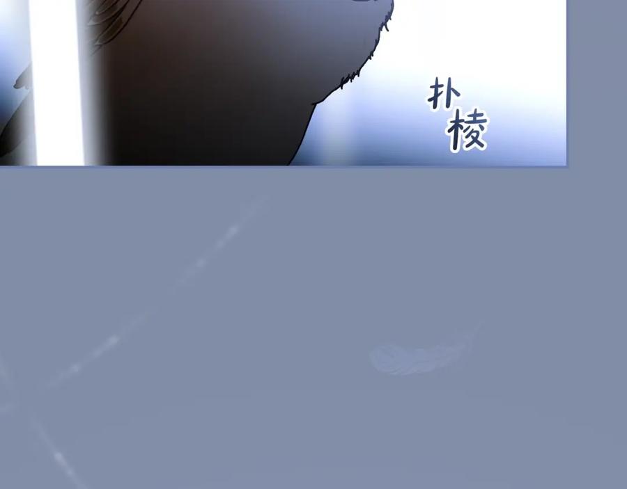 115.jpg
