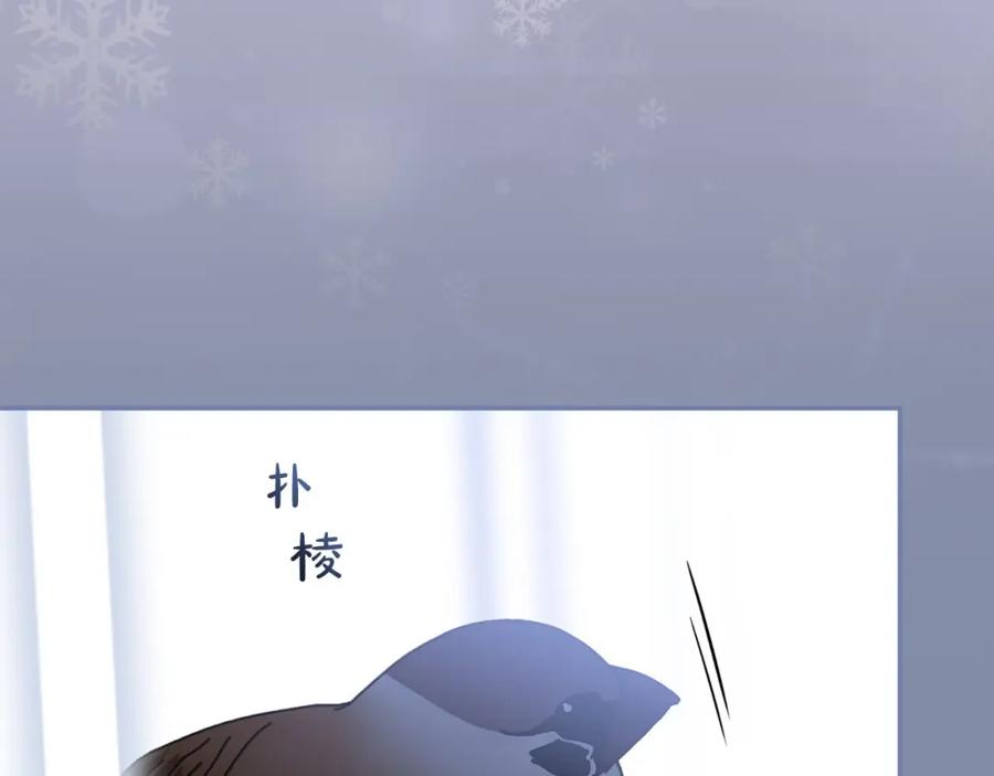114.jpg