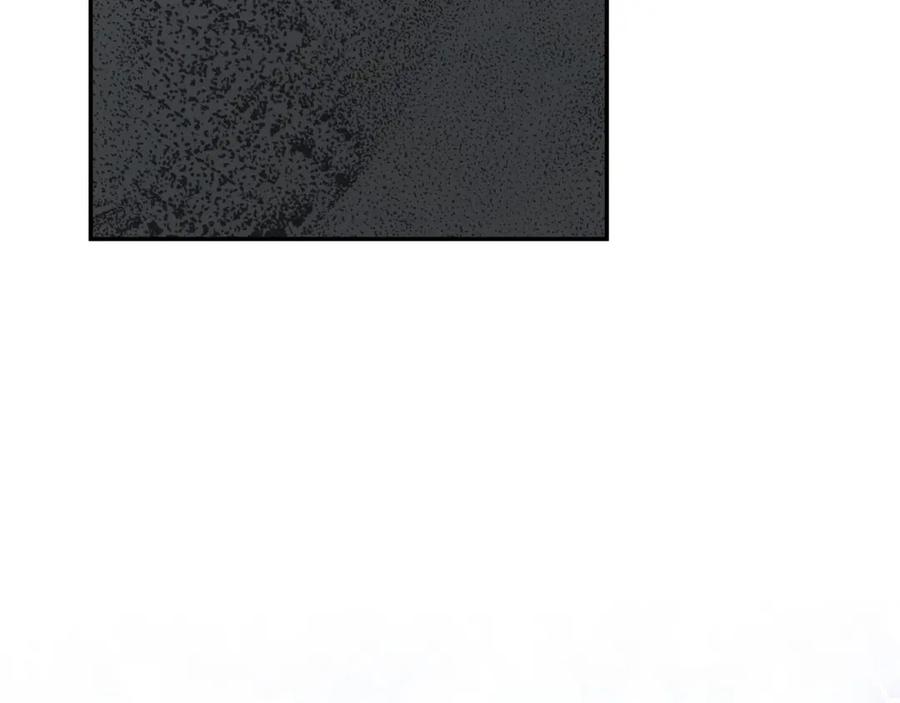 231.jpg