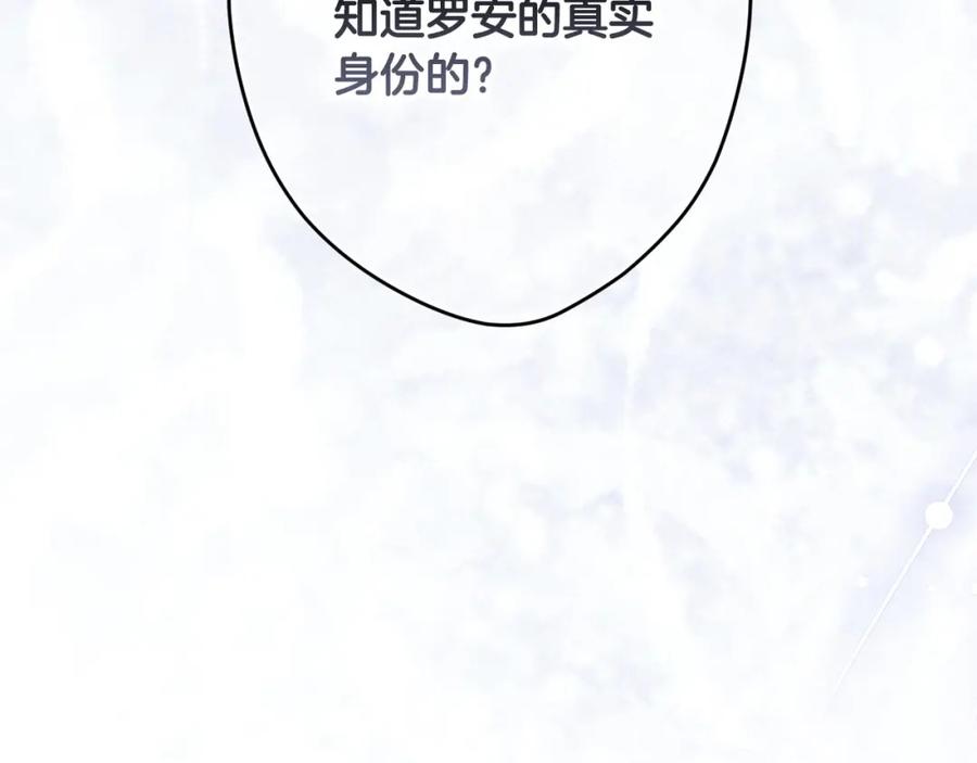 233.jpg