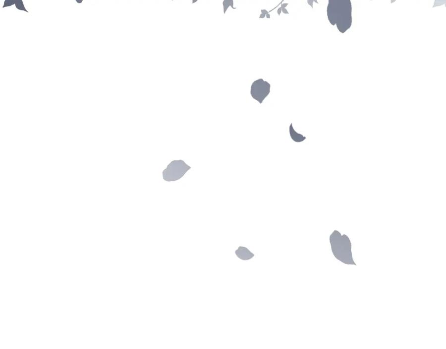 271.jpg