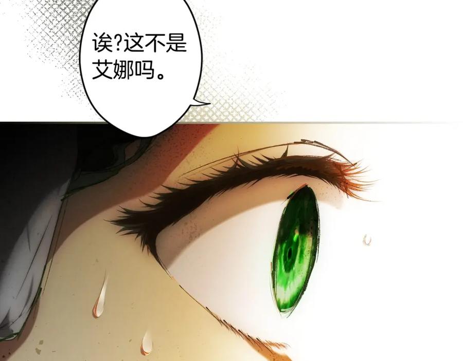 147.jpg