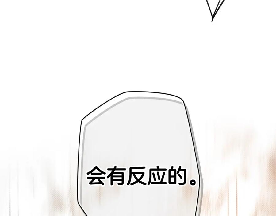176.jpg