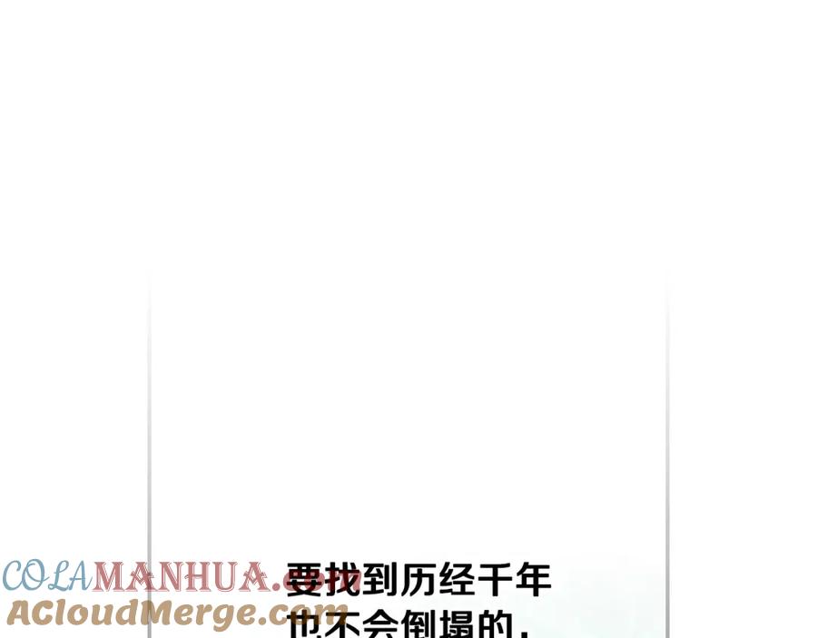 205.jpg