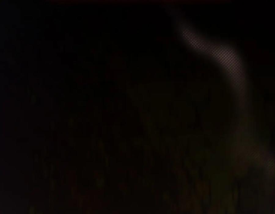 92.jpg