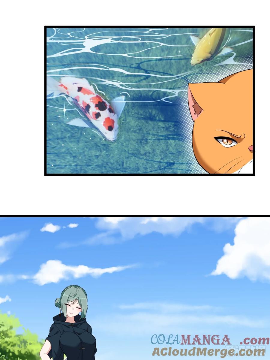 49.jpg